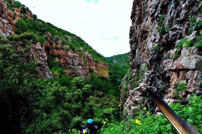 Gorge in Namibia mit grüner Vegetation und Felswänden.