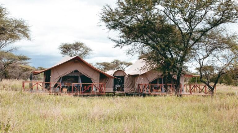 Luxus Safari Zeltlager in der afrikanischen Savanne mit Bäumen.