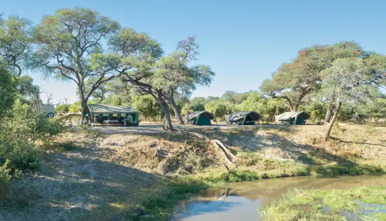 Safari-Camps im Mababe Private Reserve mit Bäumen und Wasserstelle.