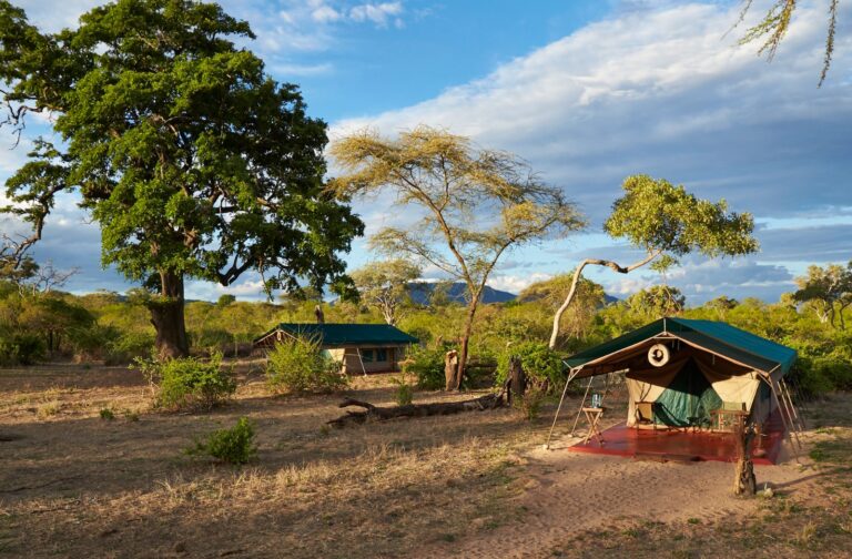 alt="3 Tage Ruaha-Safari ab Sansibar | Fly-in Safari"