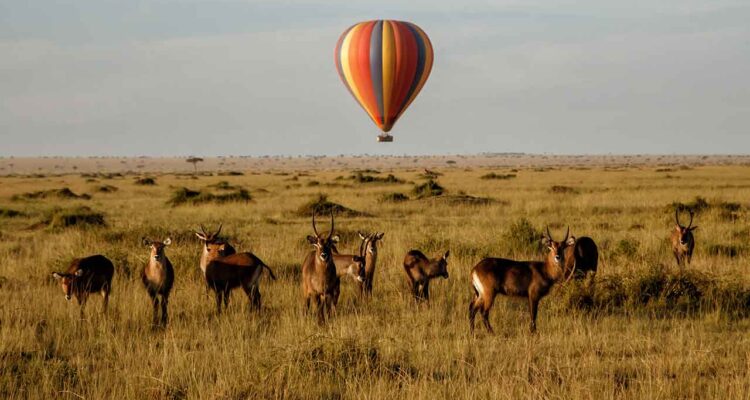 Ballonfahrt-ueber-der-Serengeti-1