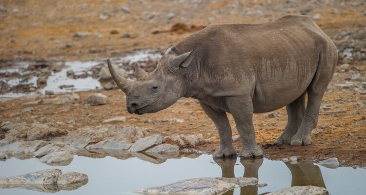 14 Tage Namibia Selbstfahrerreise