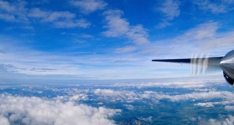 Fly-out-safari.jpg