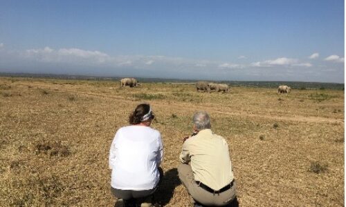 Kenia aussteigen Kenia aussteigen