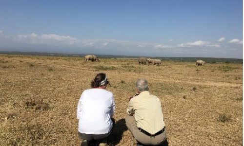 Zwei Touristen beobachten Gnus auf einer afrikanischen Safari unter blauem Himmel.