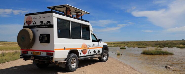 Kleingruppe-Namibia-Safariauto.jpg