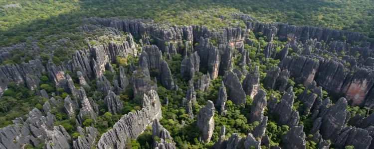 Alt: Eindrucksvolle Tafelberge im dichten Regenwald Madagaskars, ideal für Afrika Abenteuertouren.