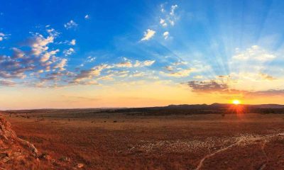 Beeindruckende Savannenlandschaft in Afrika bei Sonnenuntergang.