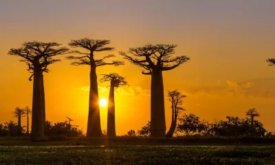 Madagaskar Reisen - Sprache in Madagaskar