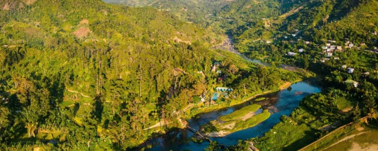 Madagaskar Reisebericht Woche 1 - Reganwald