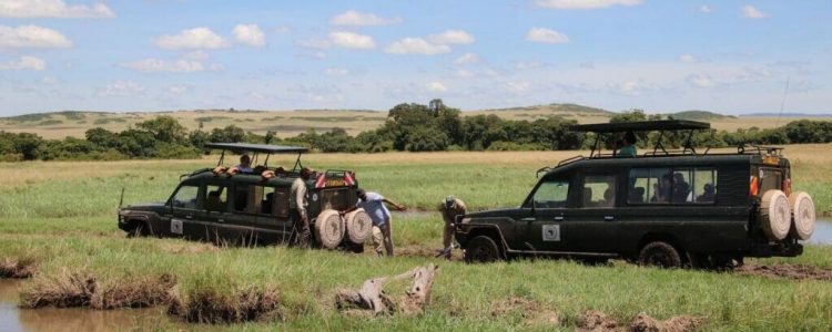 Safari-Fahrzeuge im offenen Busch in Afrika.