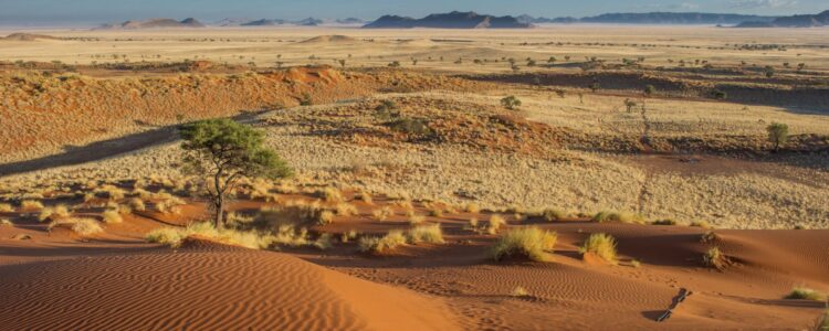 20 Tage Nationalparks in Namibia und Botswana