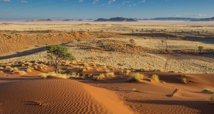 Atemberaubende Sanddünen in der afrikanischen Wüste.