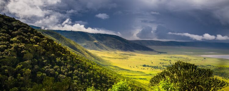 8 Tage Tansania Privatsafari - Blick in den Ngorongoro Krater in Tansania