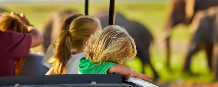 Kinder genießen Tierbeobachtung im offenen Geländewagen, Afrikas Tierwelt und Natur hautnah erleben.