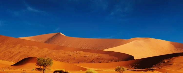 Alt-Text: Wüstenlandschaft mit Sanddünen in Afrika unter blauem Himmel.
