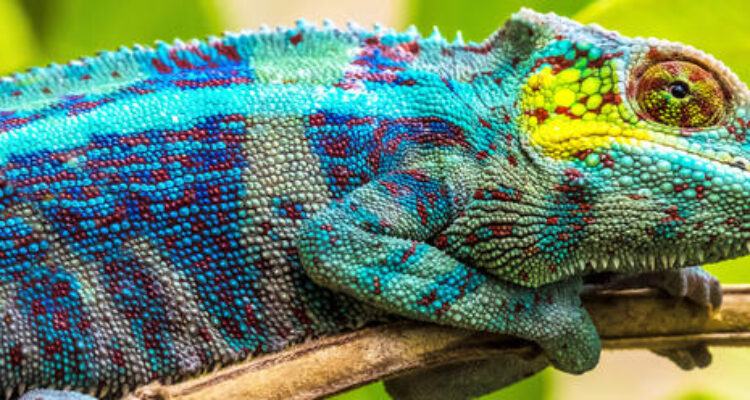 Madagaskar Reise