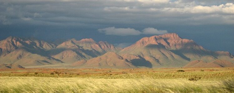 Tok Tokkie Trail in Namibia - Wandern in der Namib Wüste