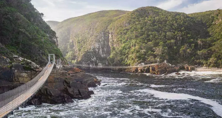 Hängebrücke über den Wasserfall in einem grünen afrikanischen Naturpark.
