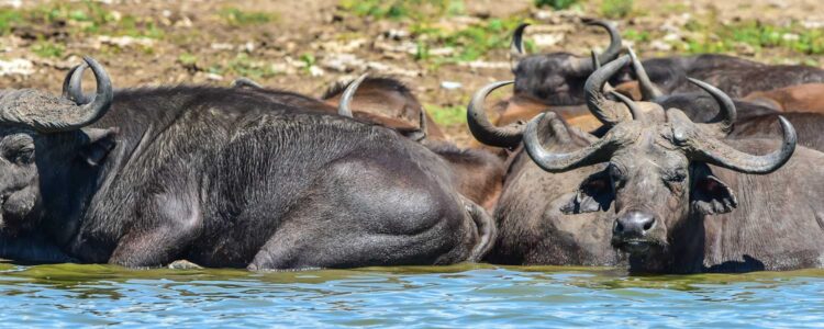 Uganda-Selbstfahrereisen-3.jpg