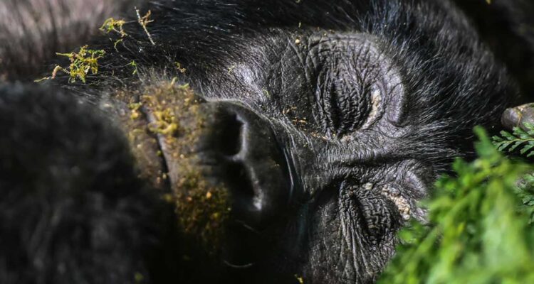 Uganda-Selbstfahrereisen-6.jpg