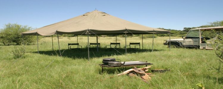 bushways camp 13_7b1140fb-5661-4443-b97b-c7010d41a33c.jpg