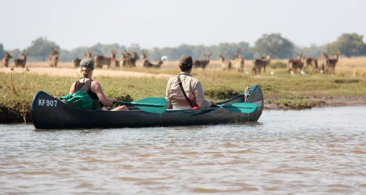 Zwei Touristen paddeln im Kanu in afrikanischer Natur, Wildtiere im Hintergrund.