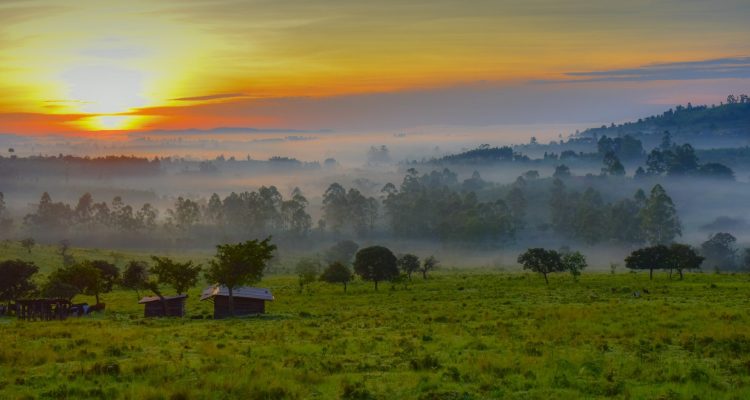 Buntes Sonnenaufgangsbild über afrikanischen Wäldern, Morgennebel und grüne Landschaften, perfekte Safari für Afrika-Abenteuer.
