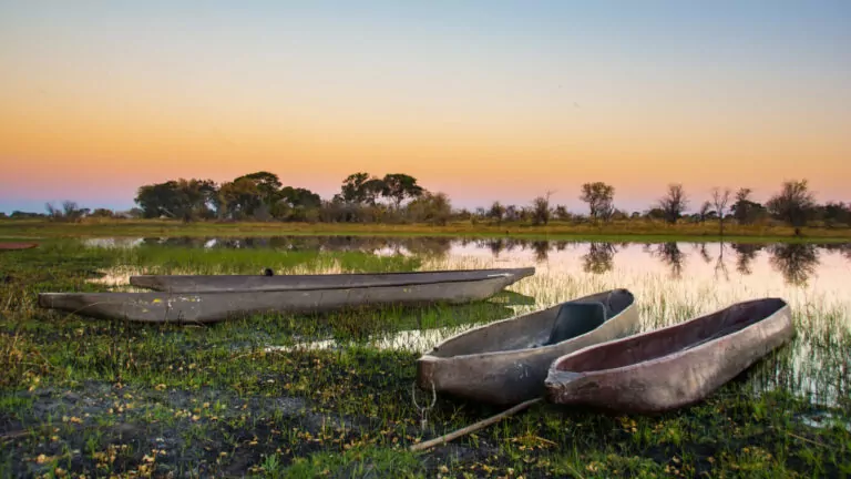 Okavango Delta