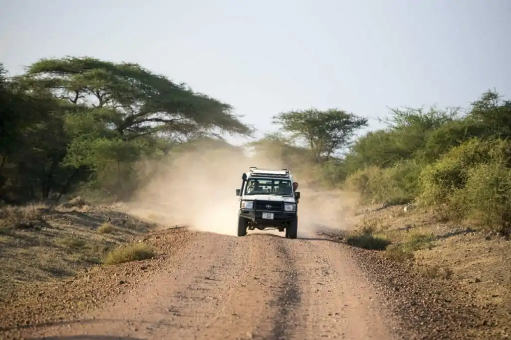 Safari in Tansania, Fahrzeug auf der Strasse