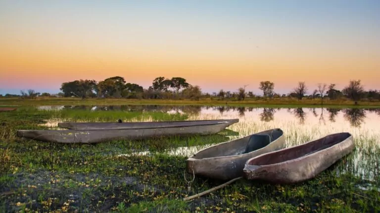 Mit dem Boot durch Okavango Delta