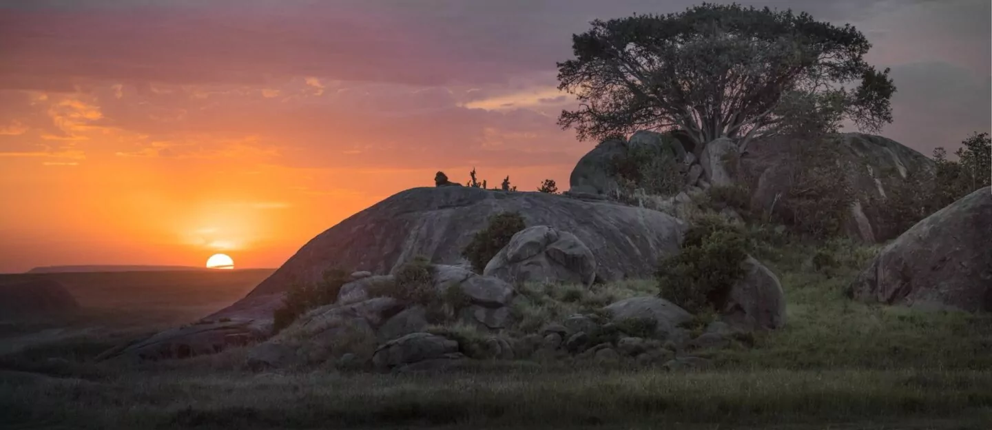 Tansania Safari