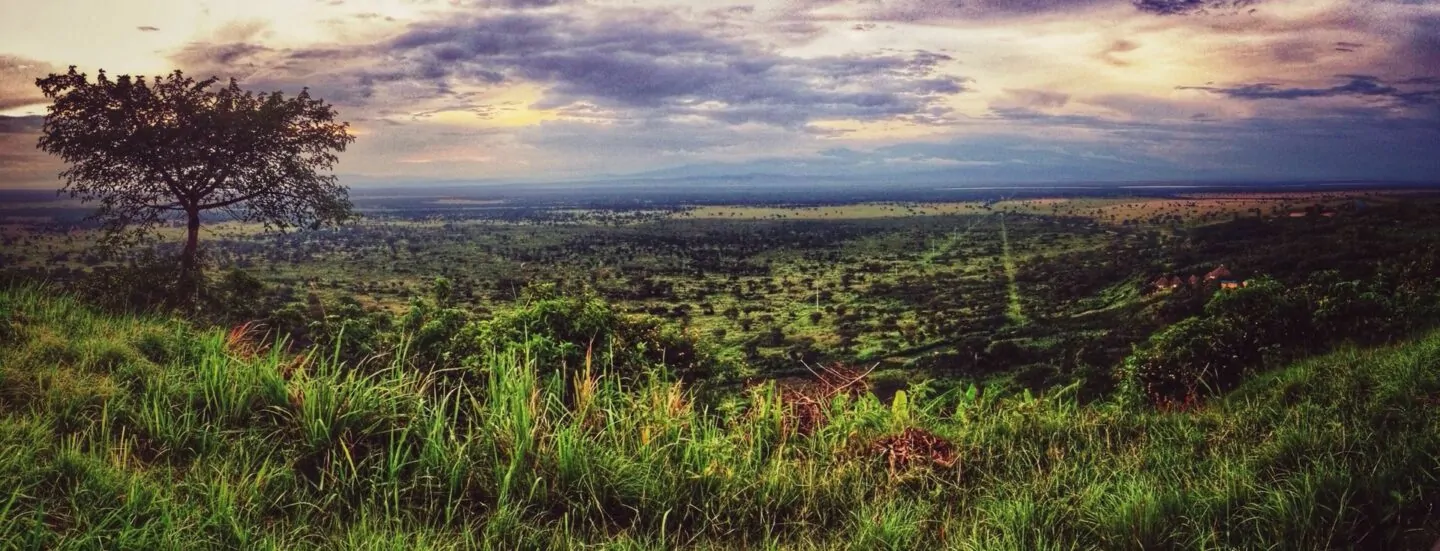 Weite Landschaft Ugandas