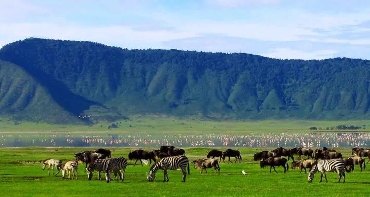 Tansania-Safari.jpg